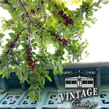 Vintage *